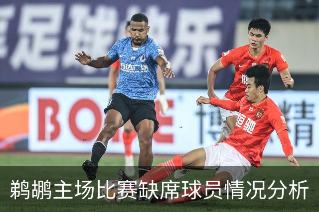 鹈鹕主场比赛缺席球员情况分析